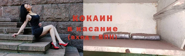 стаф Ладушкин
