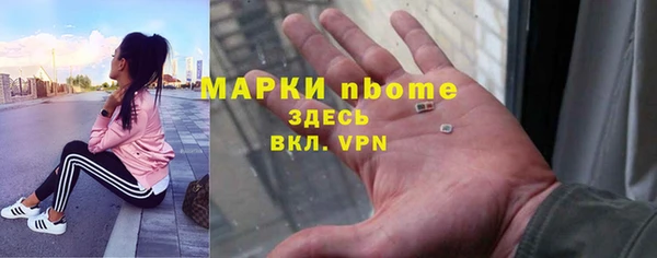 стаф Ладушкин