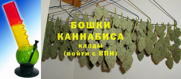 стаф Ладушкин