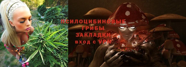 стаф Ладушкин