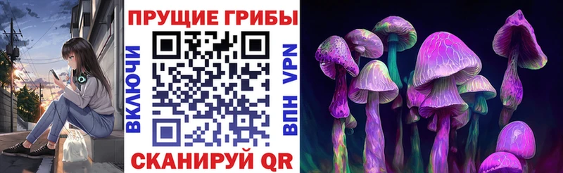 цена Льгов кракен tor Галлюциногенные грибы Psilocybine cubensis